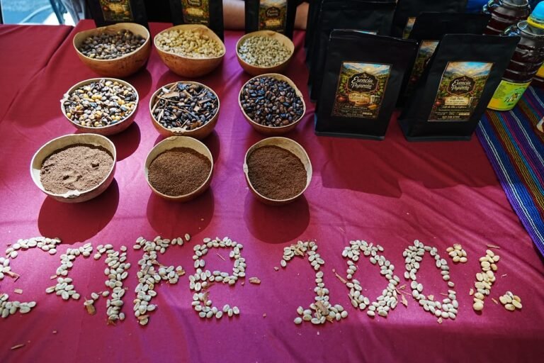 Café veracruzano busca asegurar su futuro con relevo generacional y capacitación