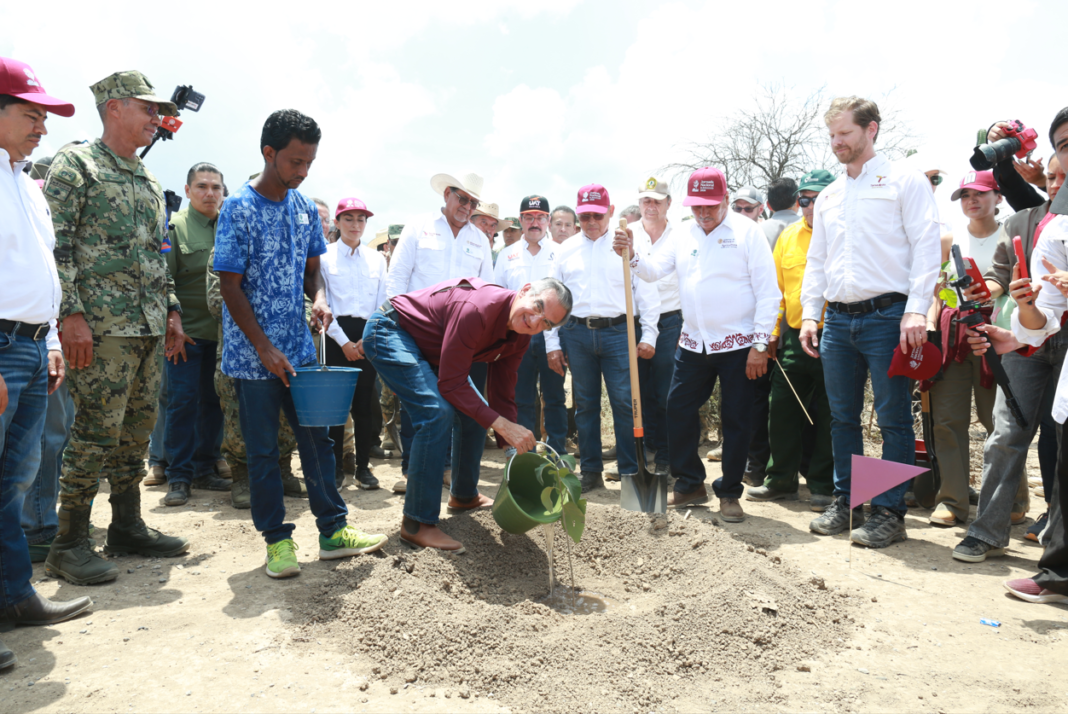 Tamaulipas participa en Jornada Nacional de Reforestación; se plantarán 15 mil árboles: Américo