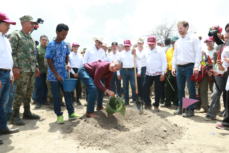 Tamaulipas participa en Jornada Nacional de Reforestación; se plantarán 15 mil árboles: Américo