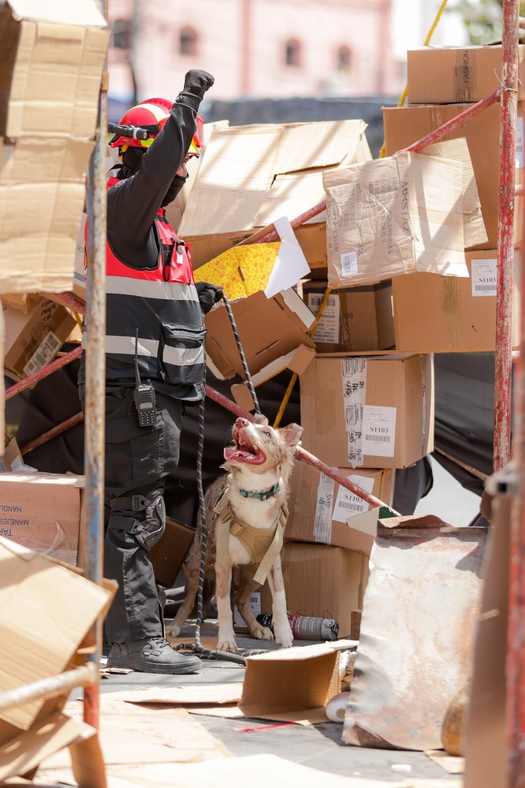 Destacada participación del equipo canino de Voluntarios Zona Sur y Marina en simulacro de colapso