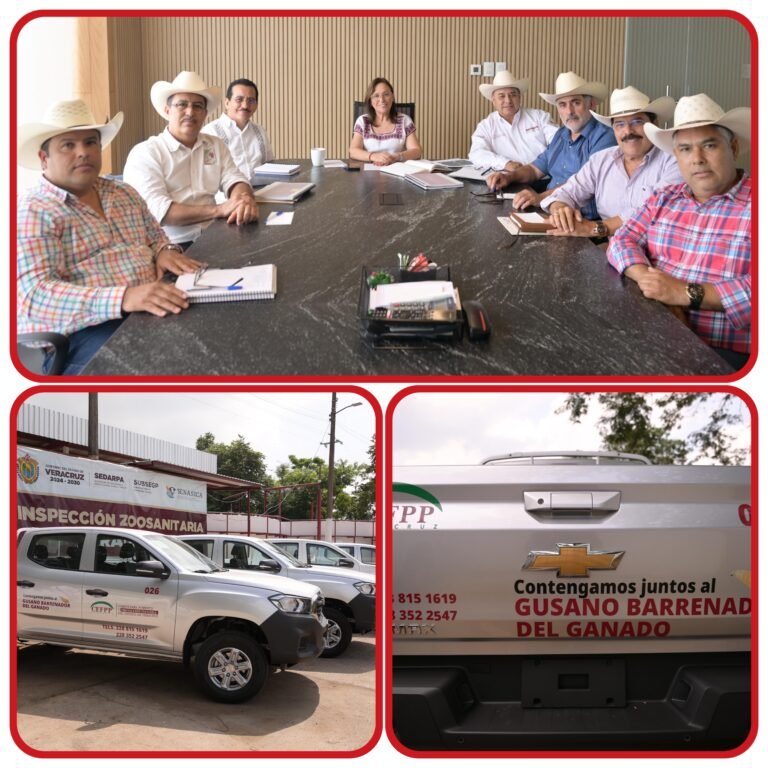 VERACRUZ MANTIENE ESTRATEGIA DE CONTENCIÓN CONTRA EL GUSANO BARRENADOR