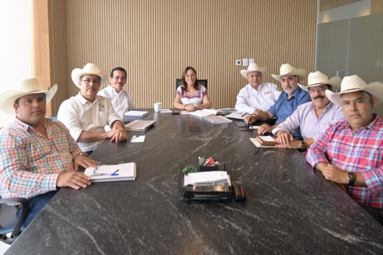 VERACRUZ MANTIENE ESTRATEGIA DE CONTENCIÓN CONTRA EL GUSANO BARRENADOR