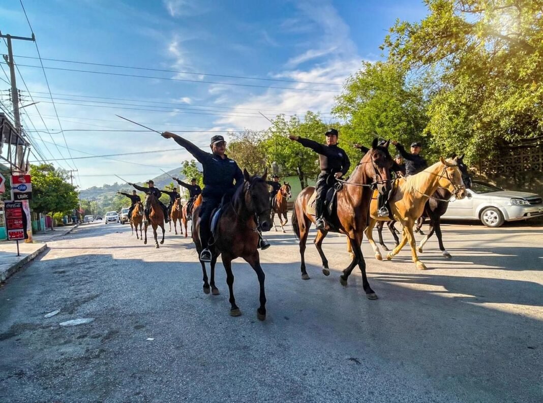 Agrupamientos Canino y Montado de la Guardia Estatal se preparan para el desfile patrio