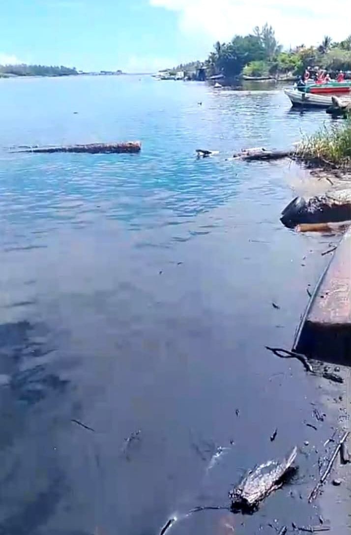 ¡Río Pánuco, bajo amenaza!
