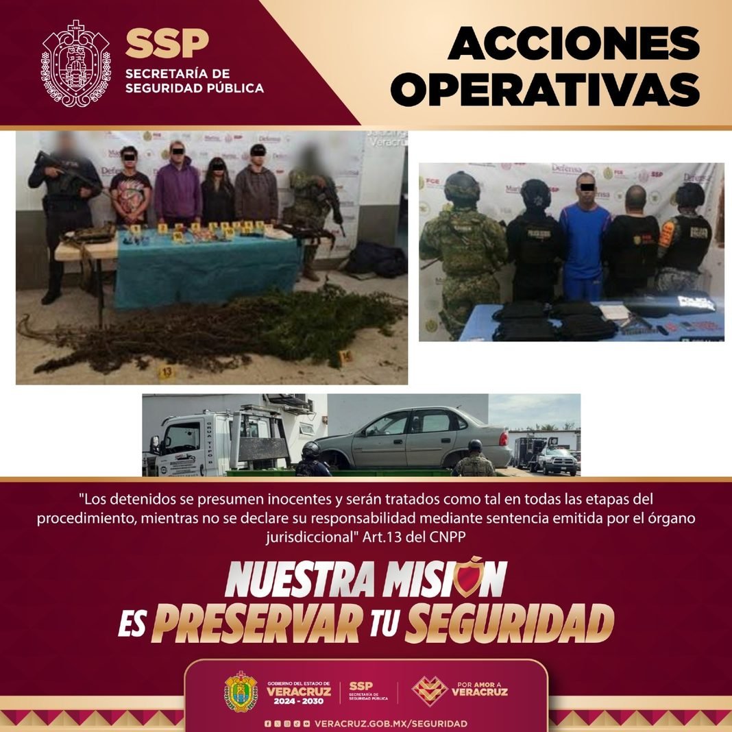 Caen 56 personas en operativos de seguridad en Veracruz; 11 serían integrantes de células delictivas