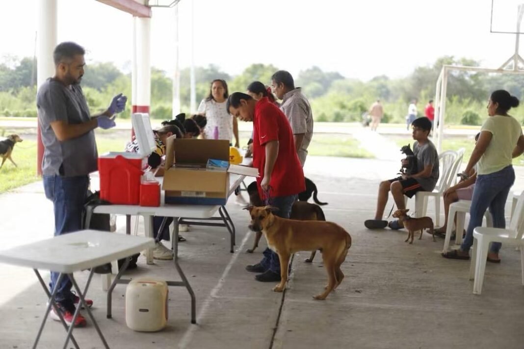 LLEVAN VACUNACIÓN ANTIRRÁBICA A LA ZONA RURAL DE TANTOYUCA